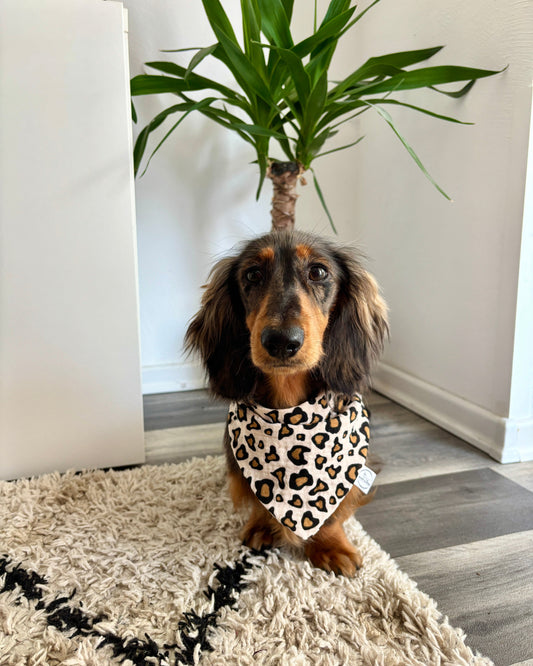 Halstuch Musselin „Leo Dream“