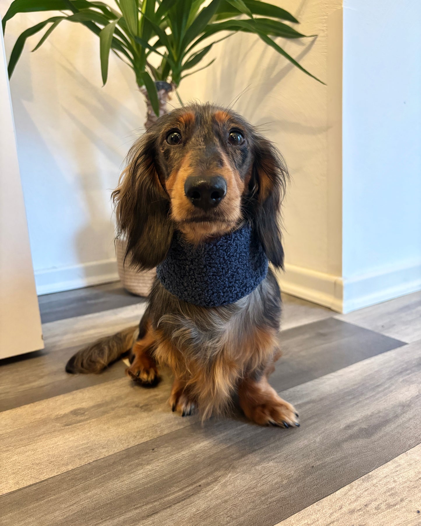 Hundeloop Teddy Marine