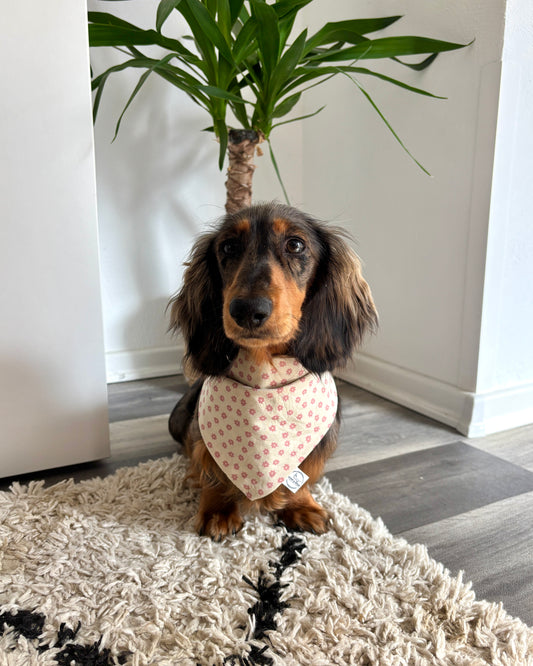 Halstuch „Blümchen“ personalisiert