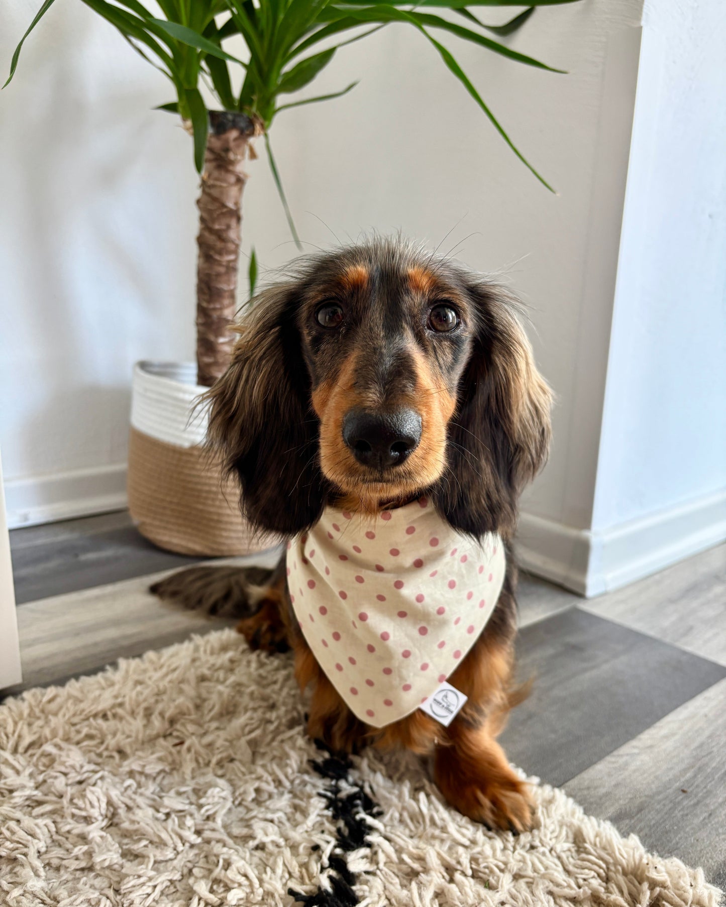 Halstuch „Pünktchen“ personalisiert
