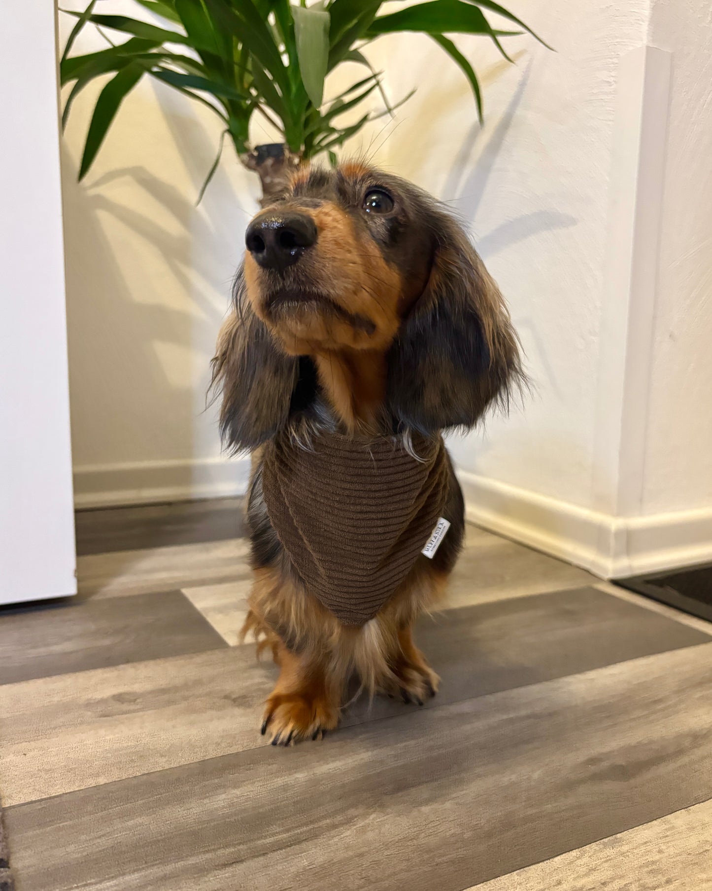 Halstuch Cord „Dunkelbraun“ personalisiert