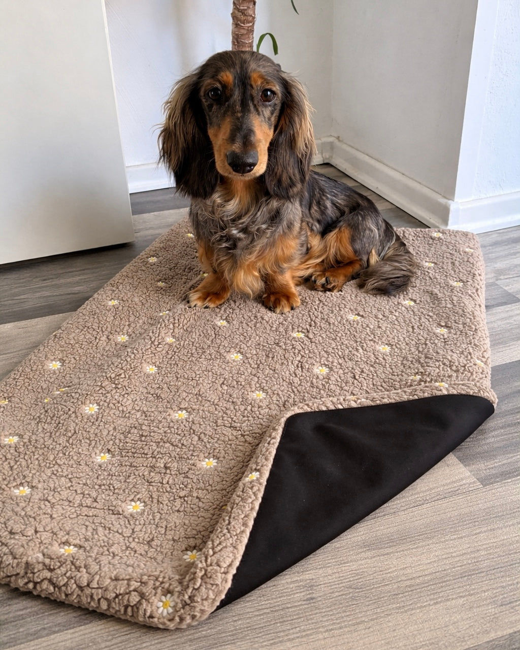 Outdoor Kuscheldecke „Blümchen“