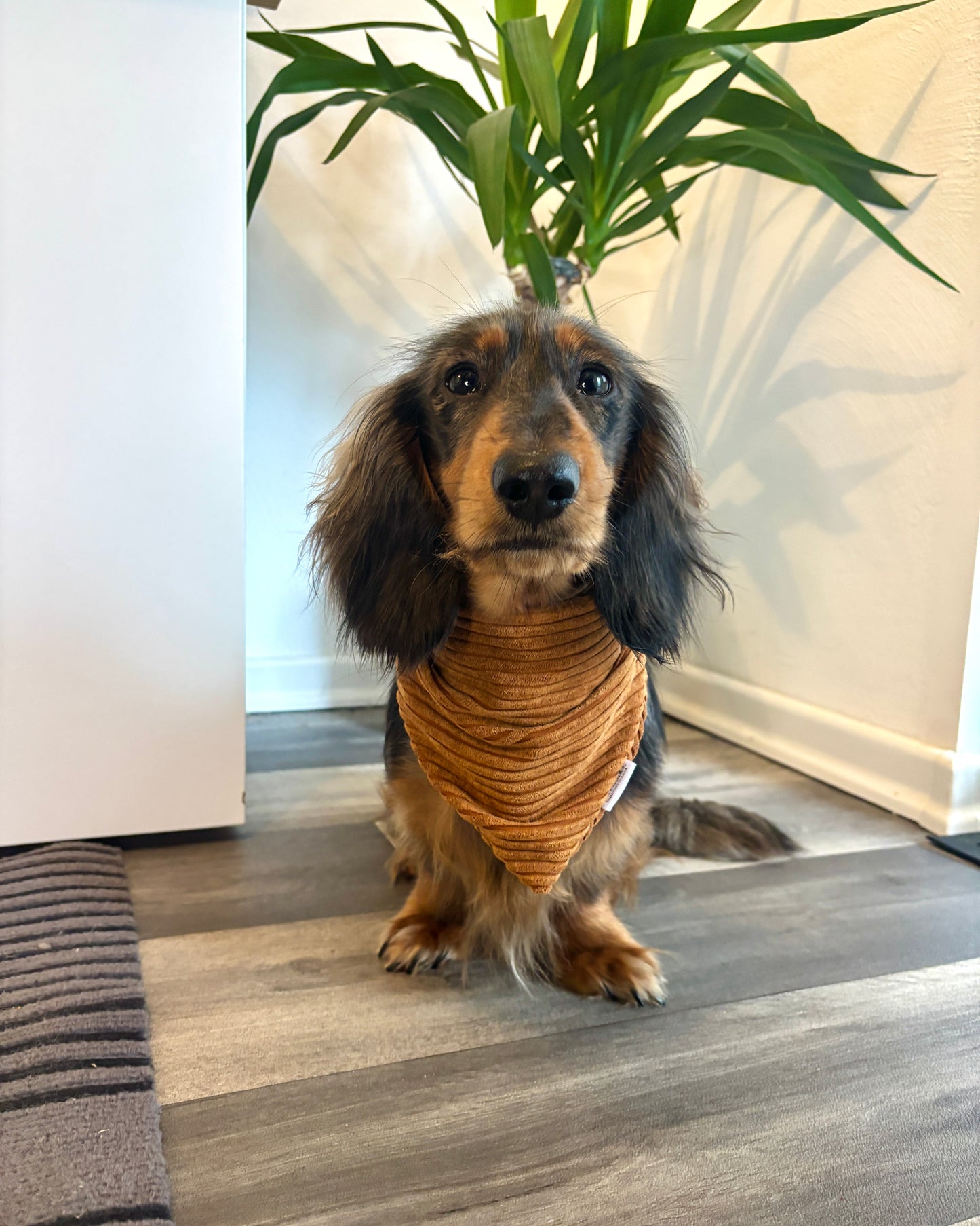 Halstuch Cord „Cognac“ personalisiert