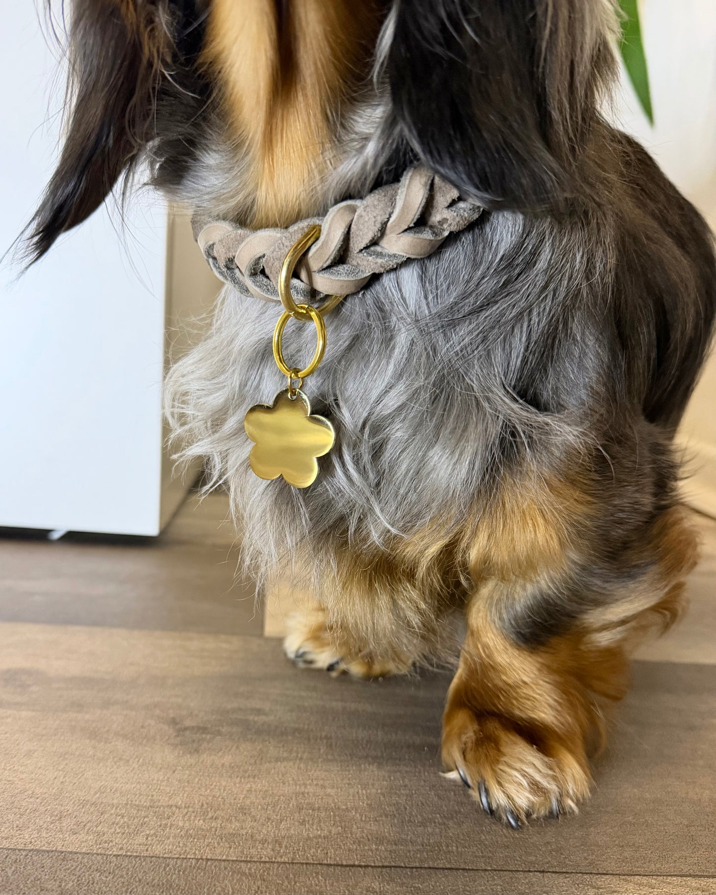 Hundemarke Blümchen