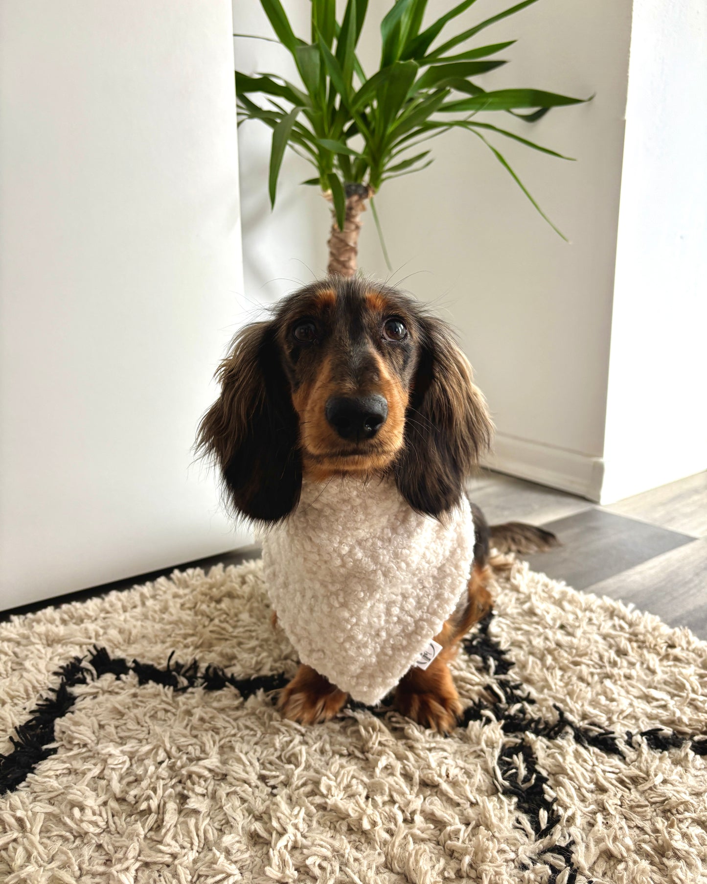 Halstuch „Teddy“ Weiß