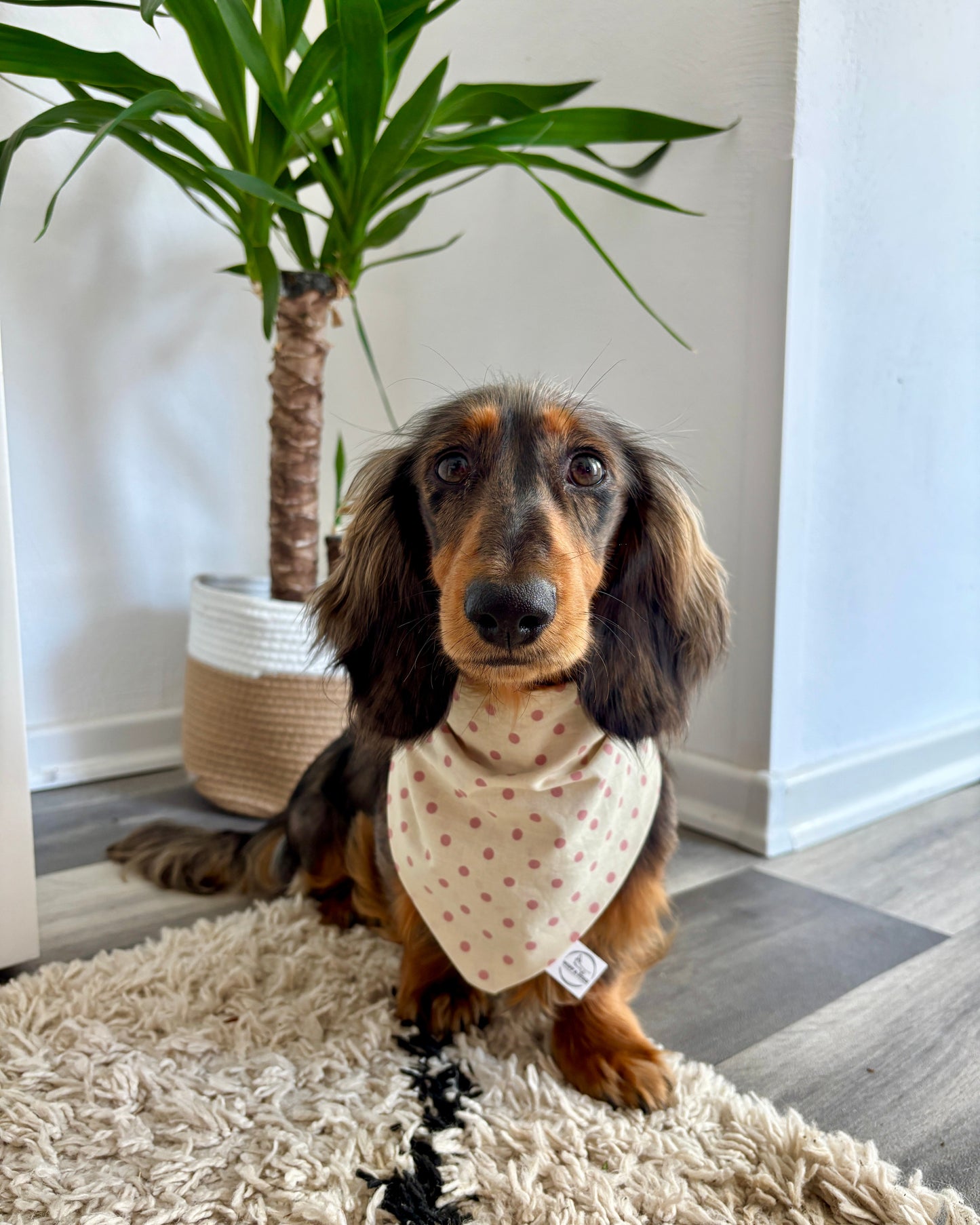 Halstuch „Pünktchen“ personalisiert