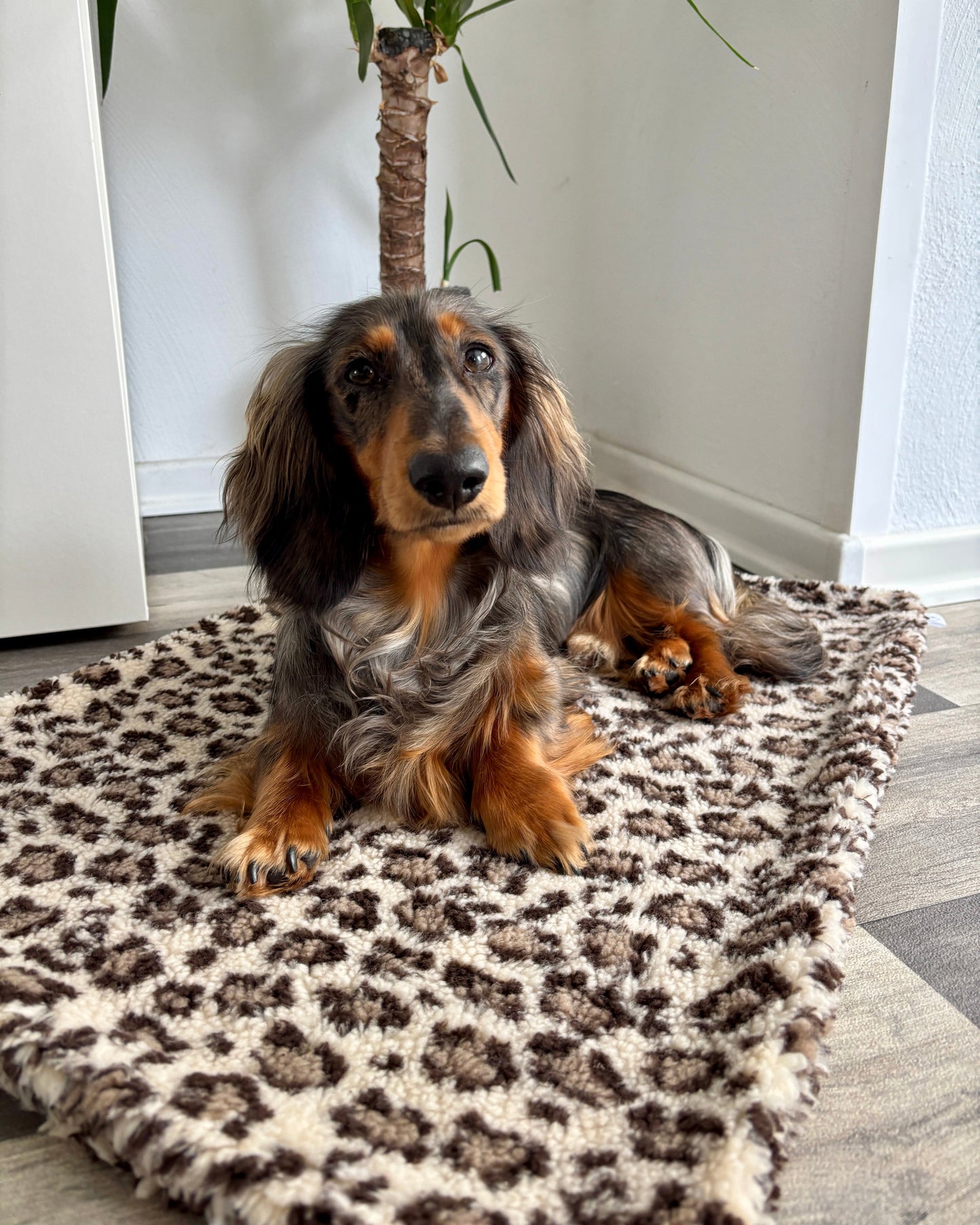 Outdoor Kuscheldecke Leo