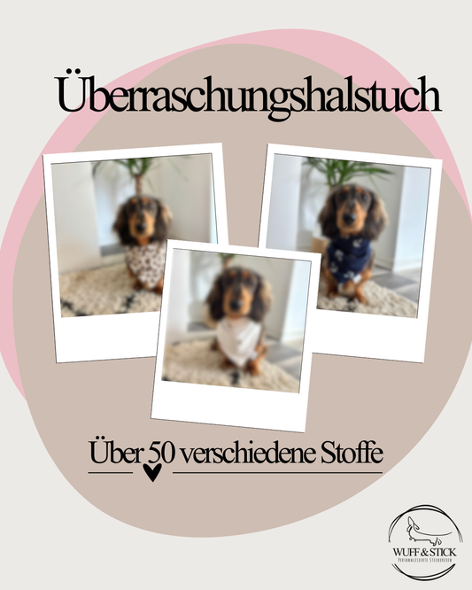 Überraschungshalstuch