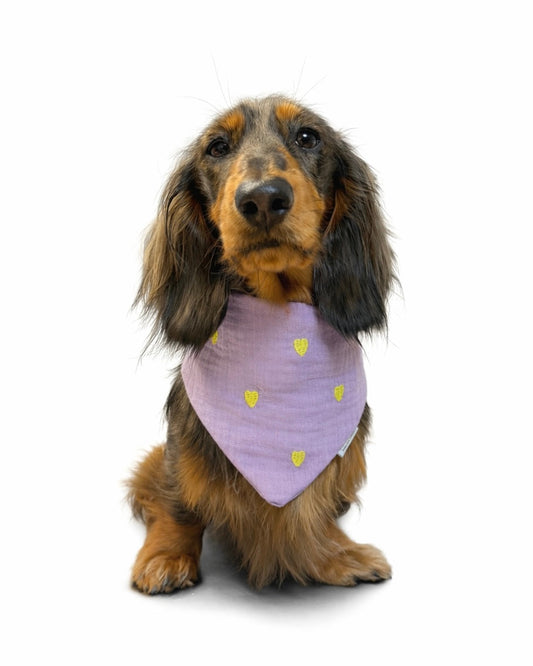 Halstuch Musselin „Lavendel Hearts“ HU 26-34cm