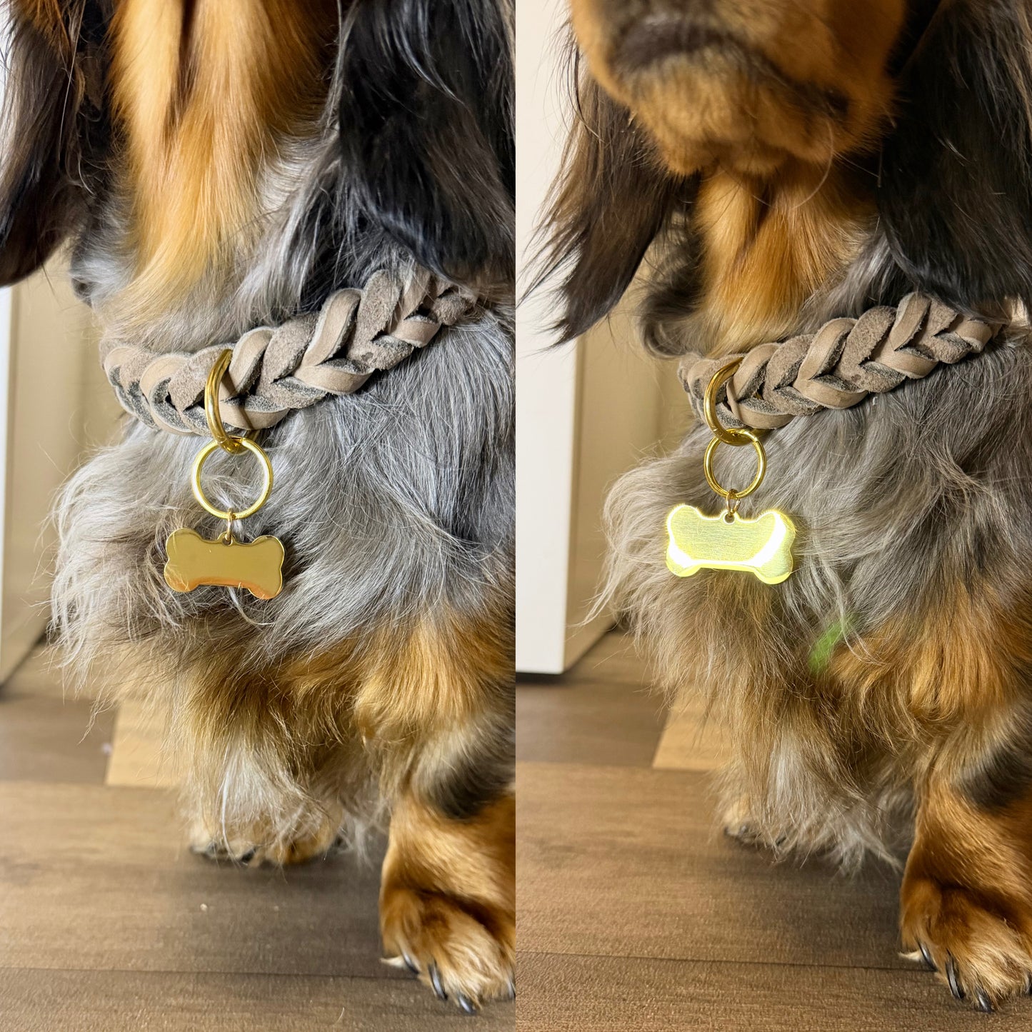 Hundemarke Knochen