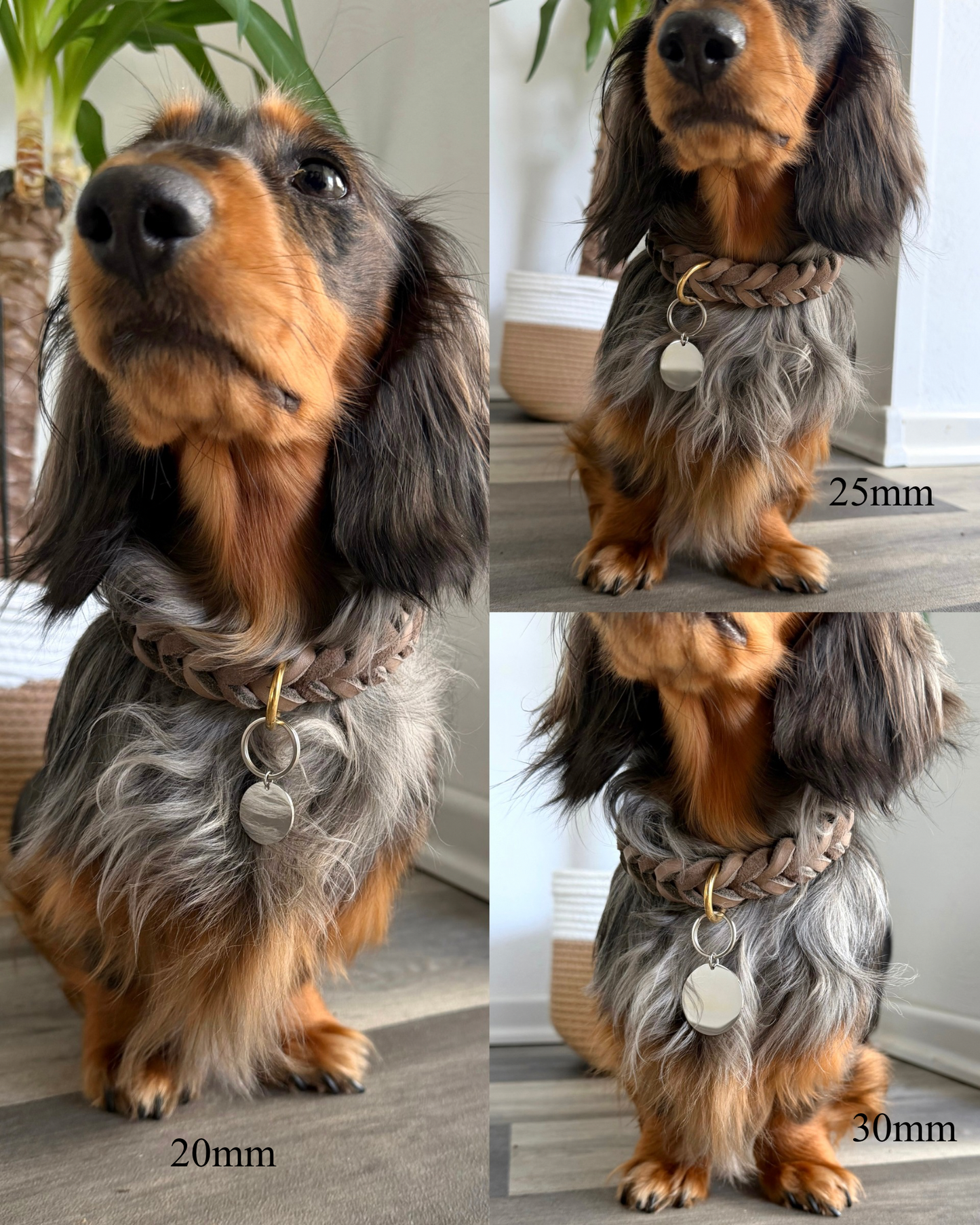 Hundemarke Rund